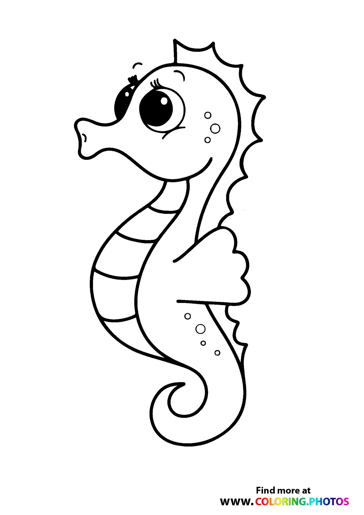 Cute little seahorse