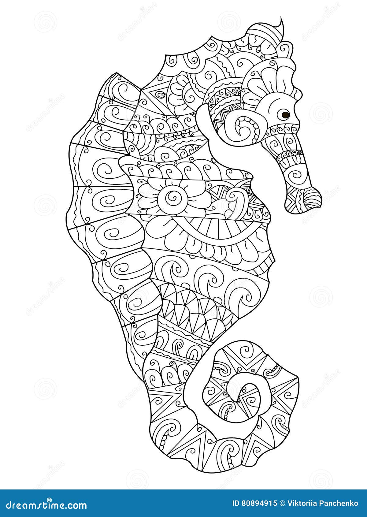 Sea horse coloring page stock illustrations â sea horse coloring page stock illustrations vectors clipart