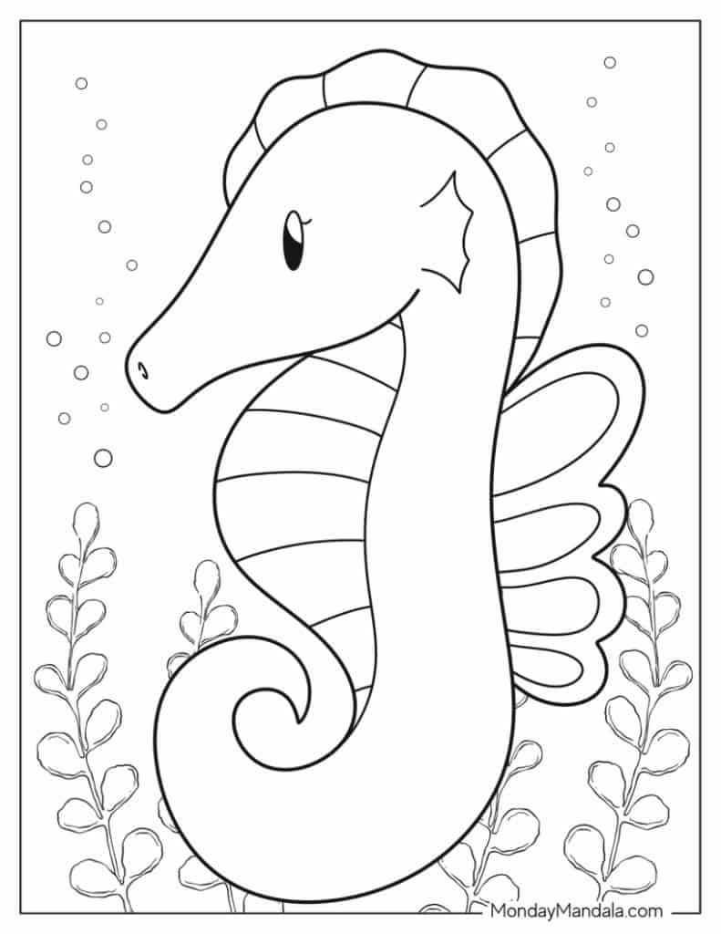 Seahorse coloring pages free pdf printables