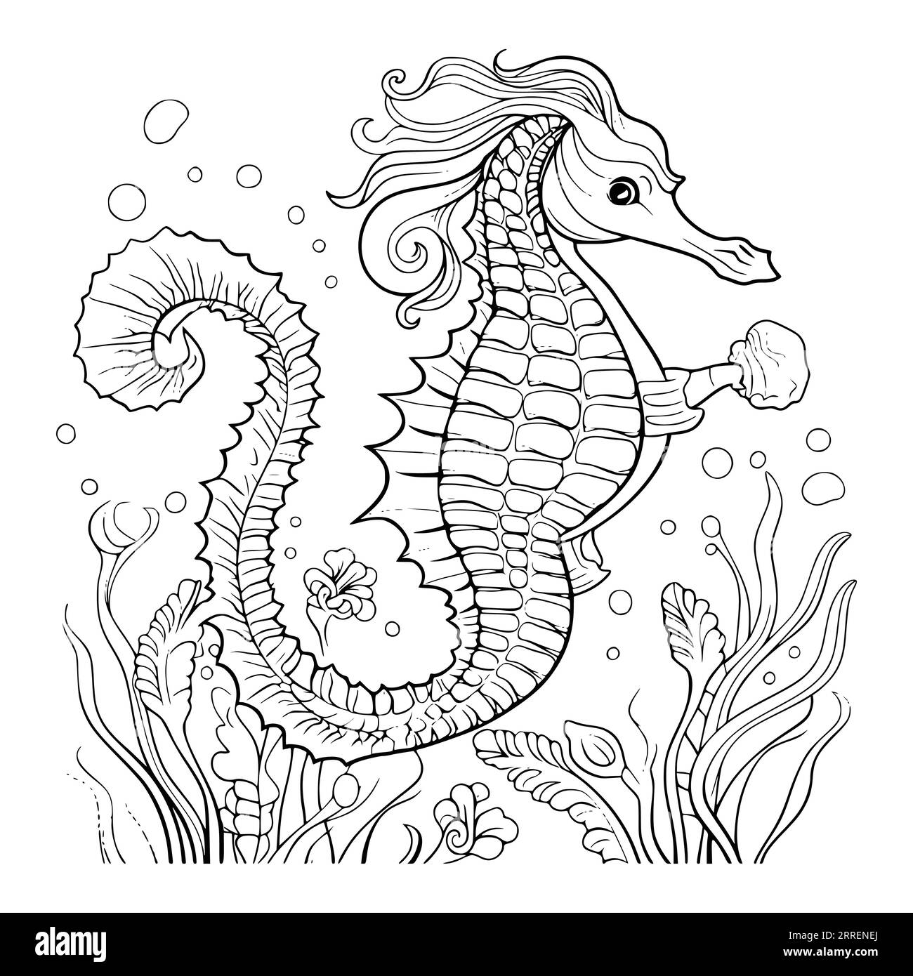 Coloring pages of a seahorse hi
