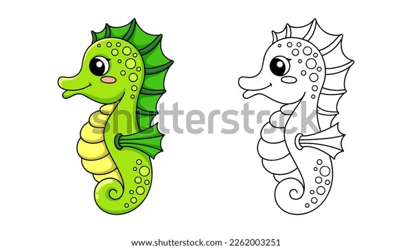 Seahorse color images stock photos d objects vectors