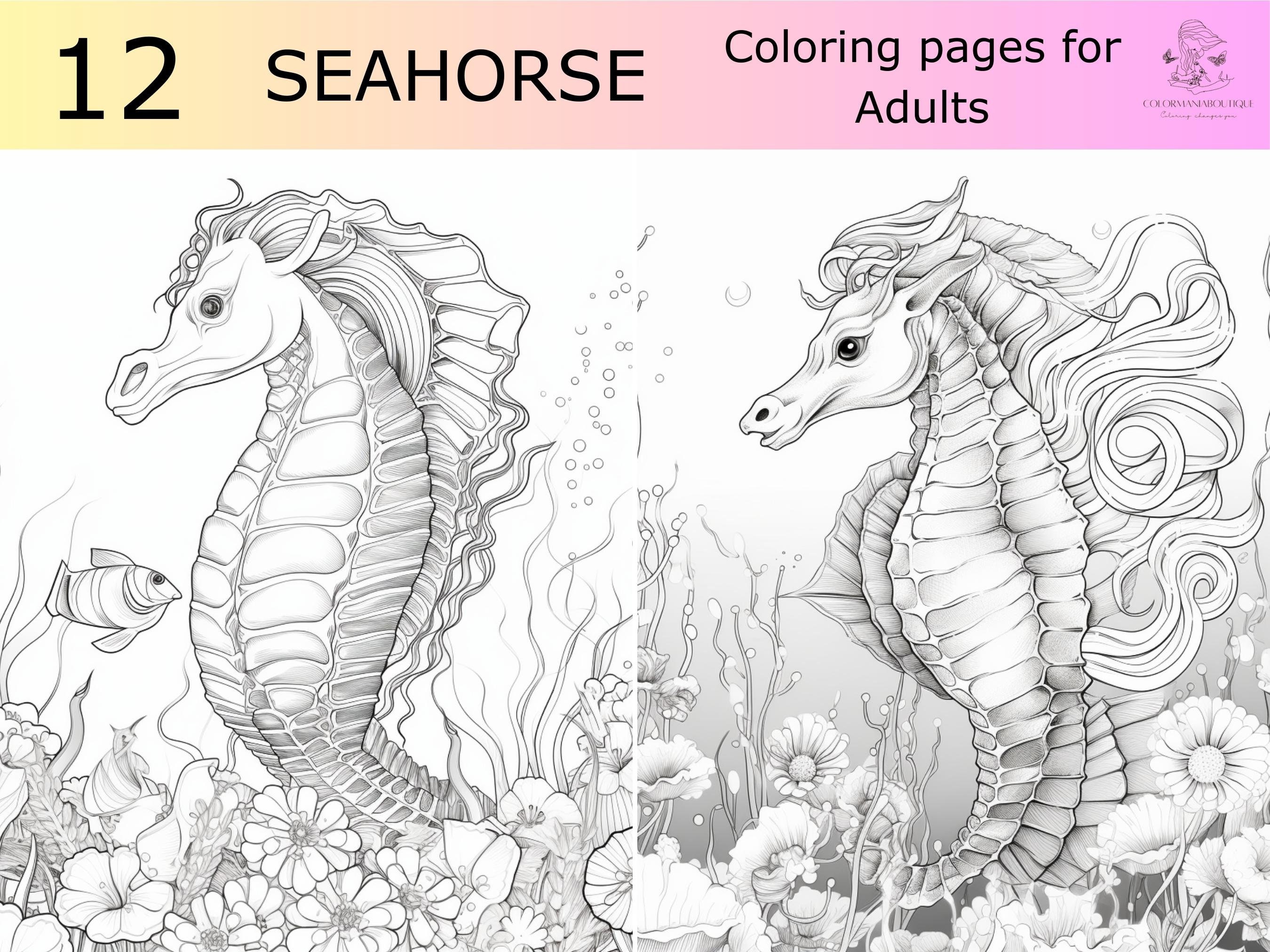 Seahorse coloring