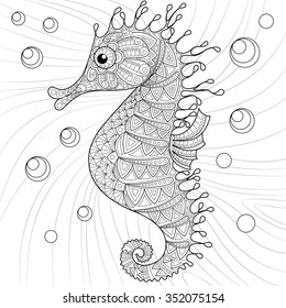 Seahorse coloring page images stock photos d objects vectors