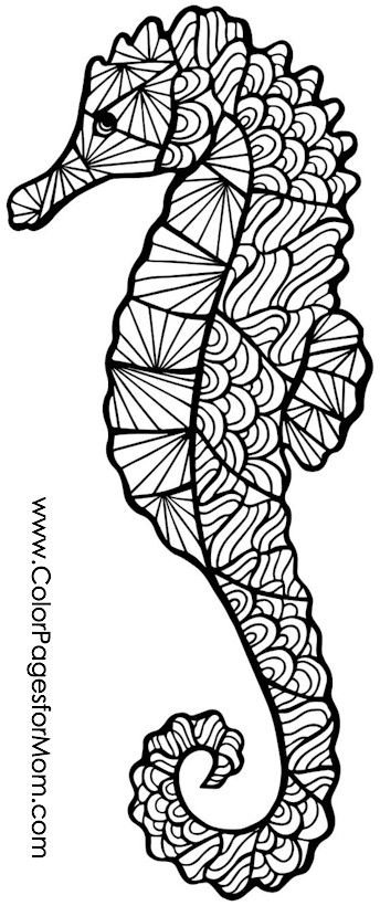 Animals advanced coloring page animal coloring pages coloring pages adult coloring pages