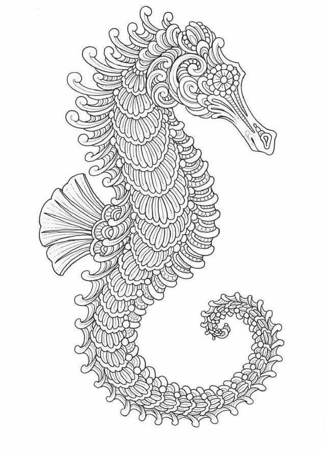 Seahorse design adult coloring pages coloring pages colouring pages