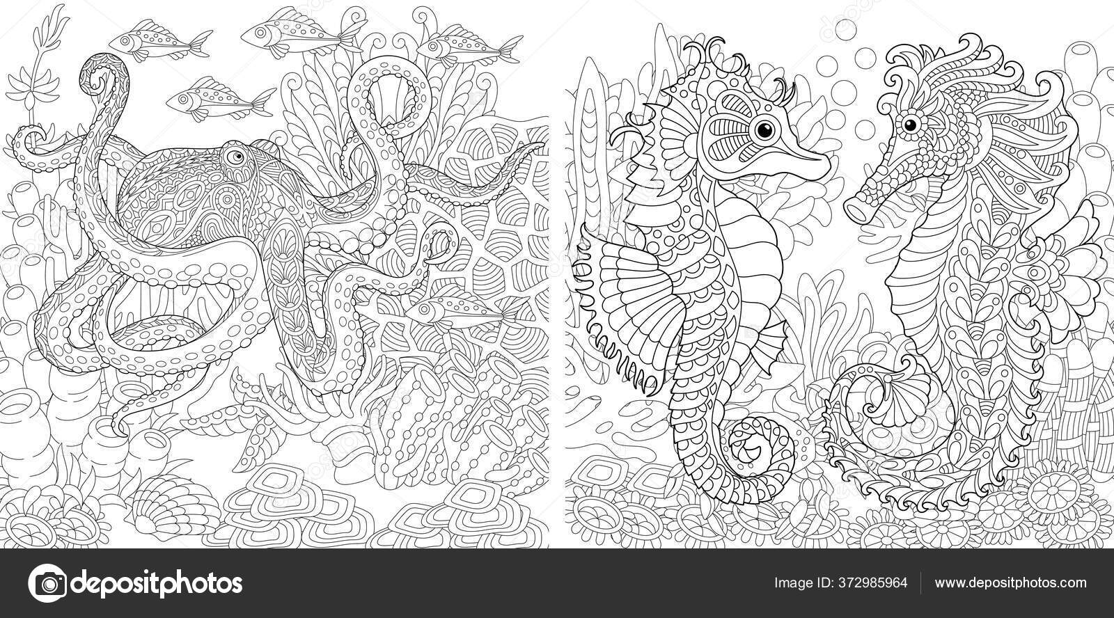 Coloring book underwater landscapes octopus seahorses line art design adult stock vector by sybirko