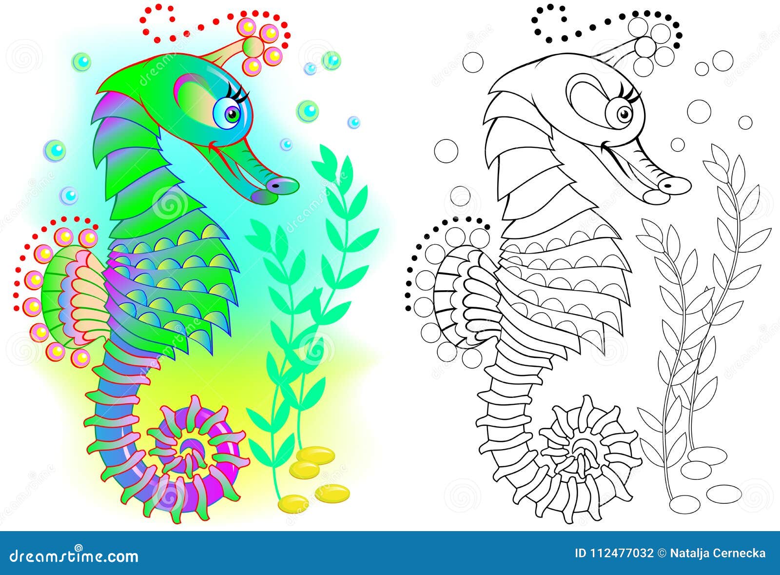 Colorful and black and white pattern for coloring illustration of fairytale seahorse worksheet for children and adults stock vector