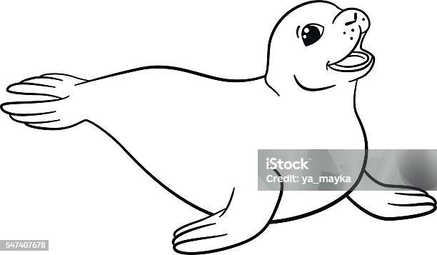 Coloring pages little cute seal stock illustration