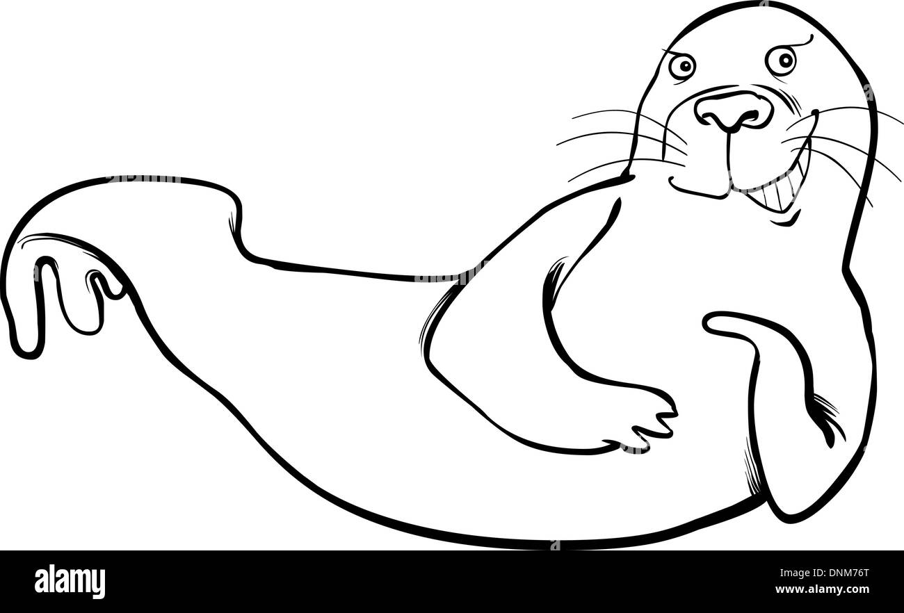 Cartoon illustration of funny seal coloring page stock vector image art