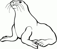 Image result for black and white clip art of seal boyama sayfalarä baläk boya