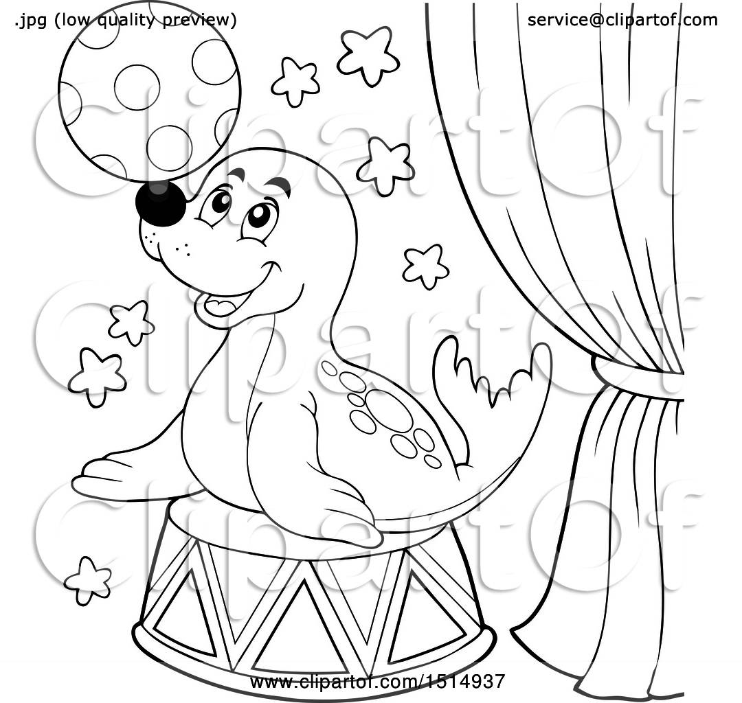 Clipart of a black and white circus seal playing with a ball