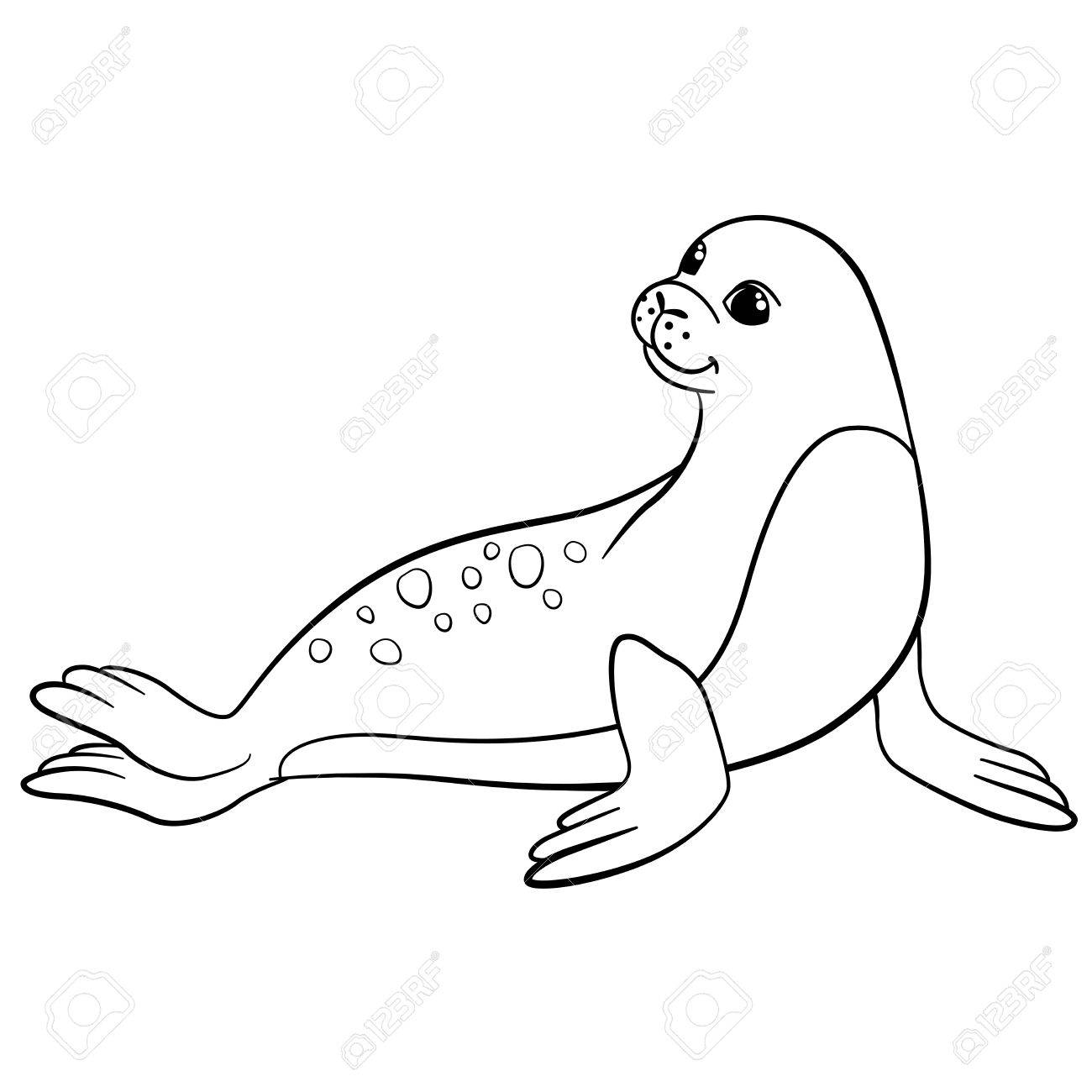 Coloring pages little cute spotted seal lays and smiles royalty free svg cliparts vectors and stock illustration image