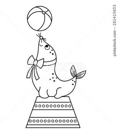 Black and white sea lion on a stand with a