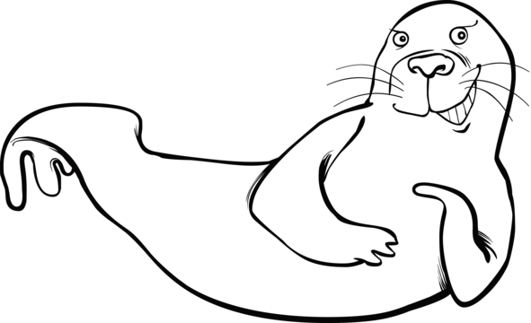 Seal coloring page png transparent images free download vector files