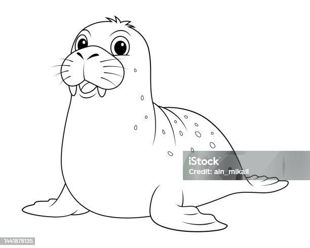 Coloring pages little cute seal swims stock illustration
