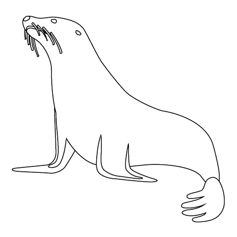 Seal emoji coloring page free printable coloring pages