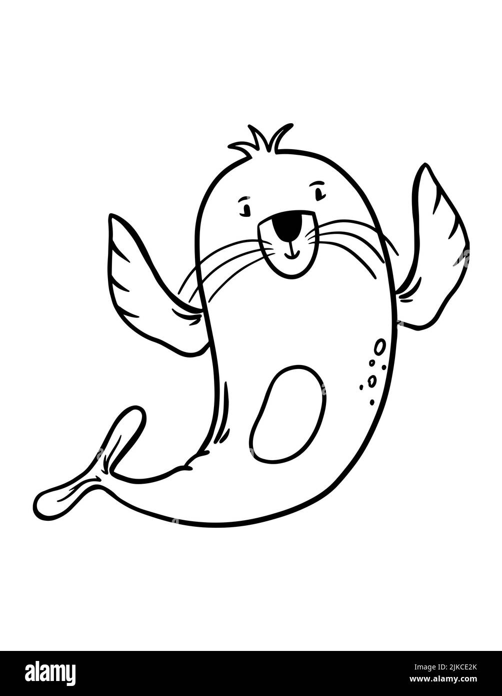 New zealand fur seal pup black and white stock photos images