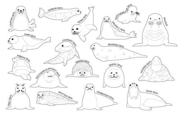 Seal set various kind identify cartoon vector black and white stock illustration