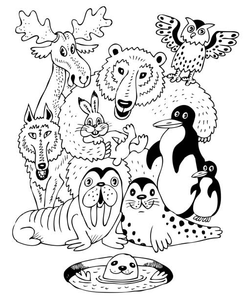 Grey seal stock illustrations royalty