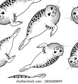 Grey seal stock photos and pictures