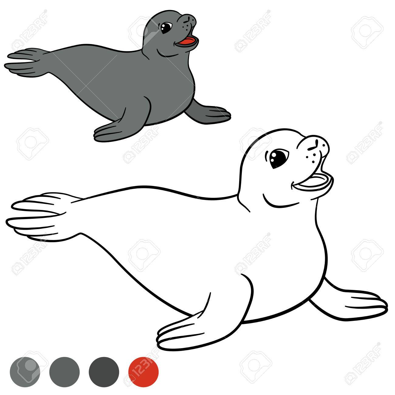 Coloring page with colors little cute gray seal smiles royalty free svg cliparts vectors and stock illustration image