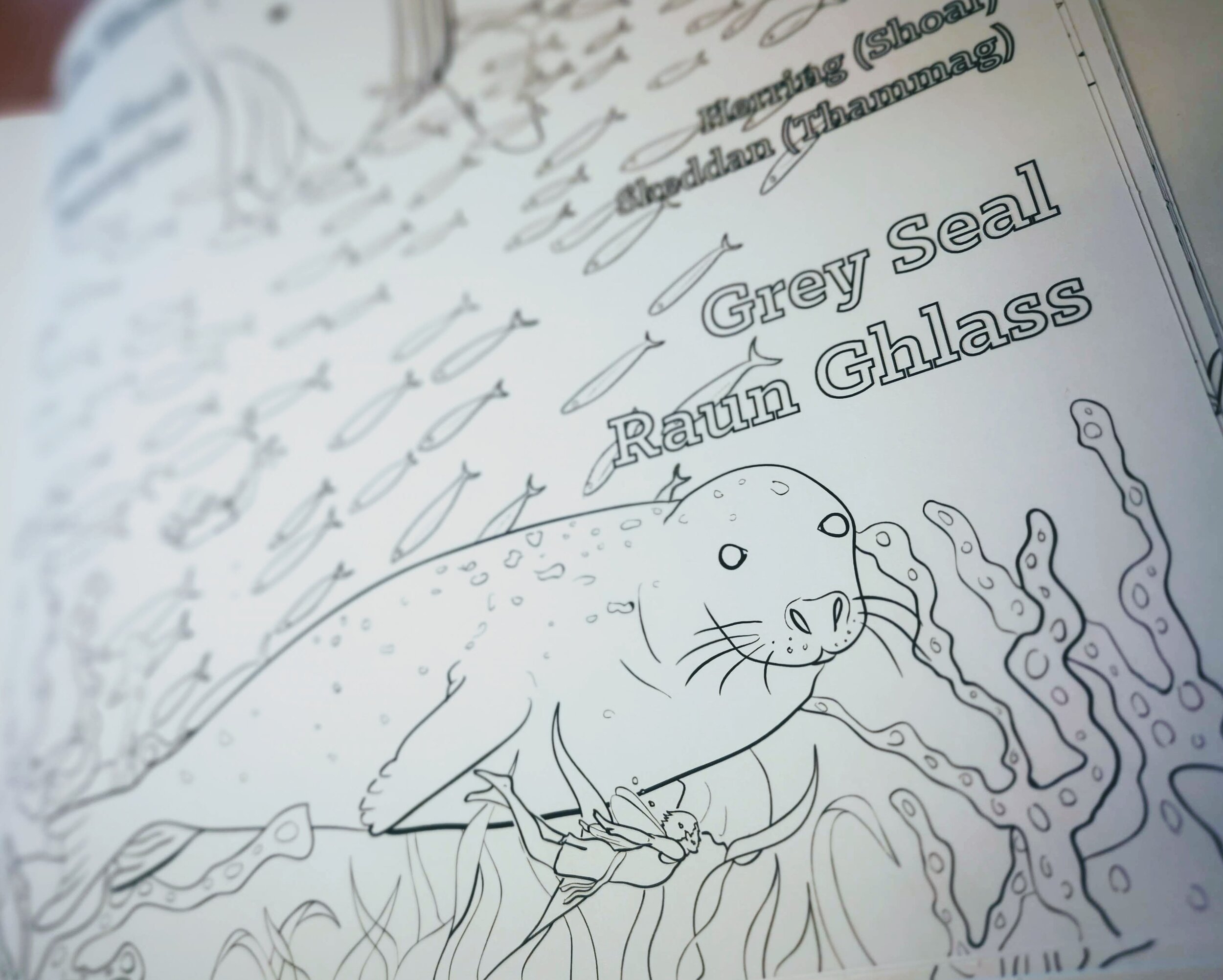 Balley cashtal beg colouring books â eve adams