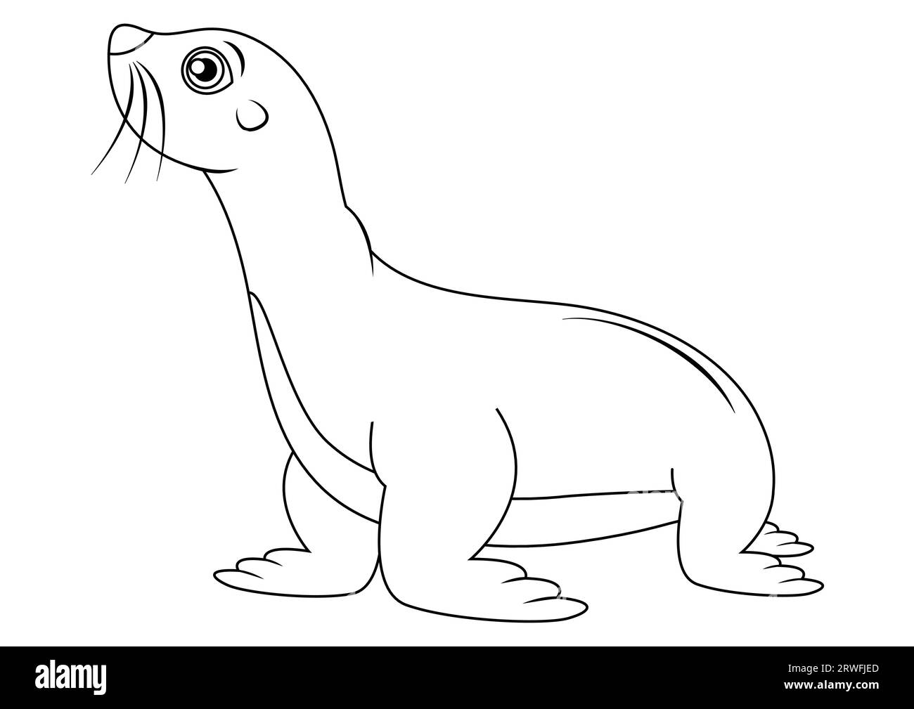 Cartoon seal hi