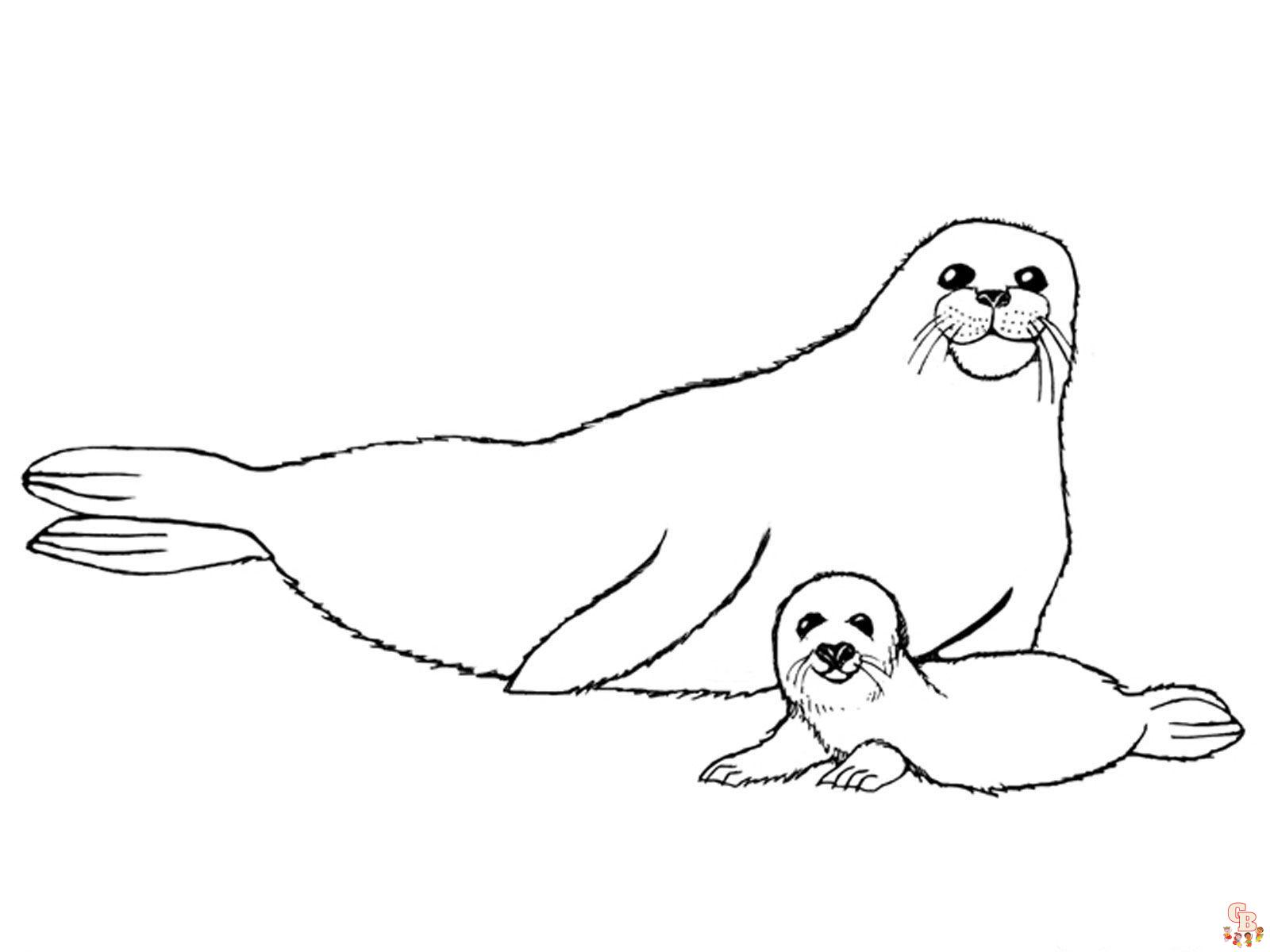 Get creative with seal coloring pages