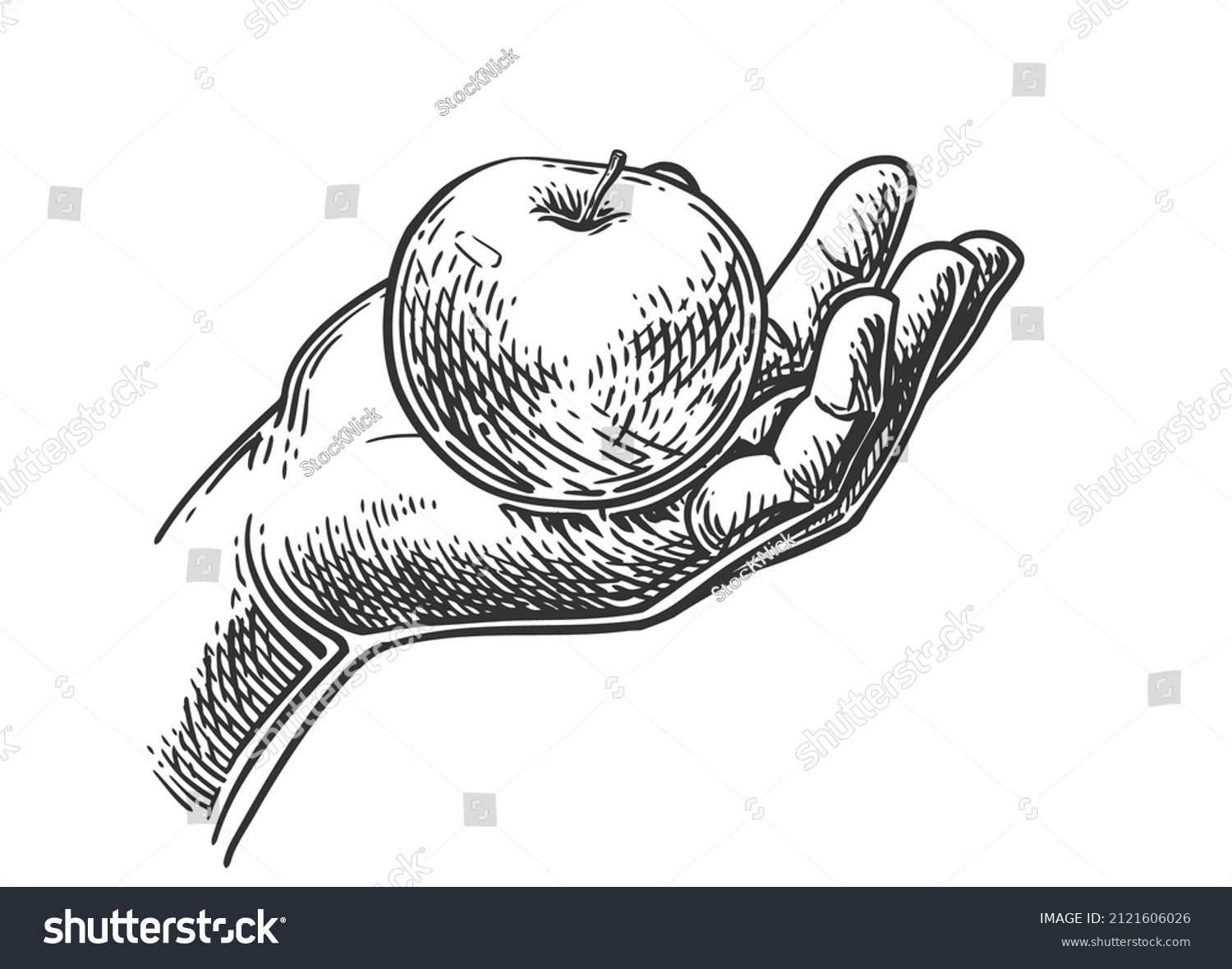 Best eva apple royalty