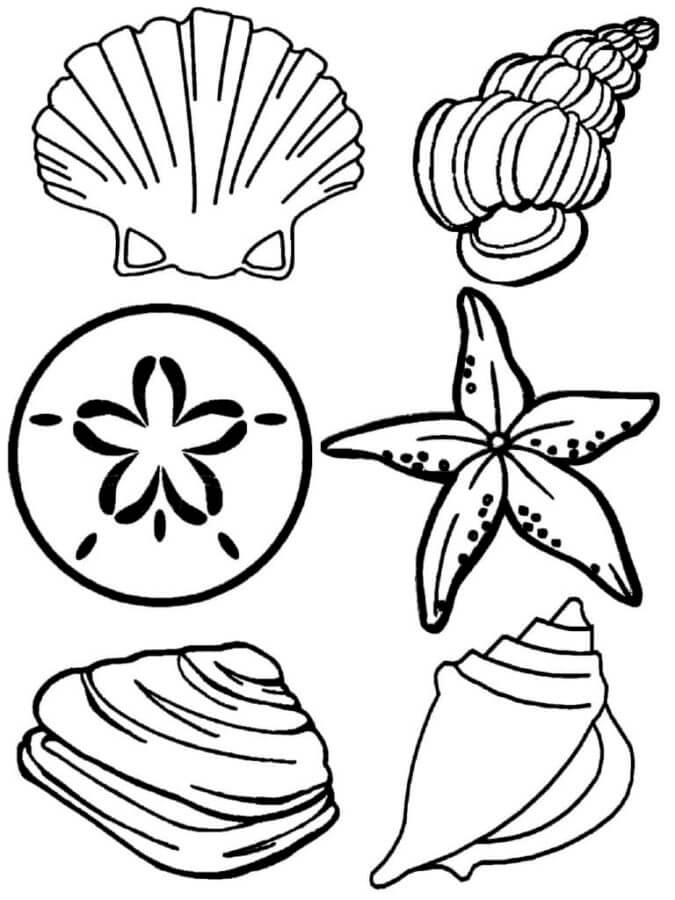 Black seashell rapan coloring page