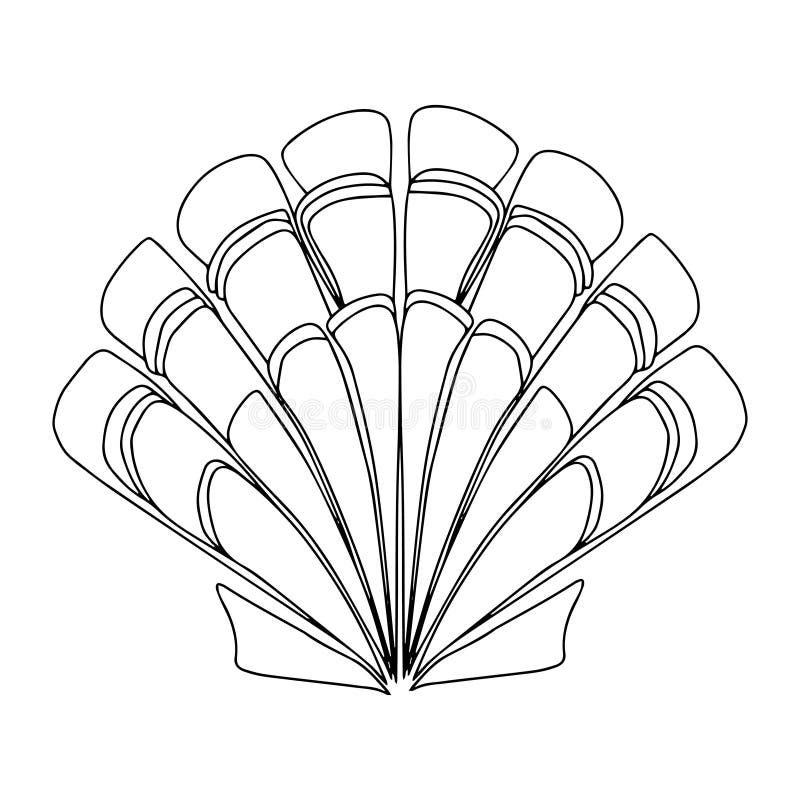 Seashell black white drawing stock illustrations â seashell black white drawing stock illustrations vectors clipart
