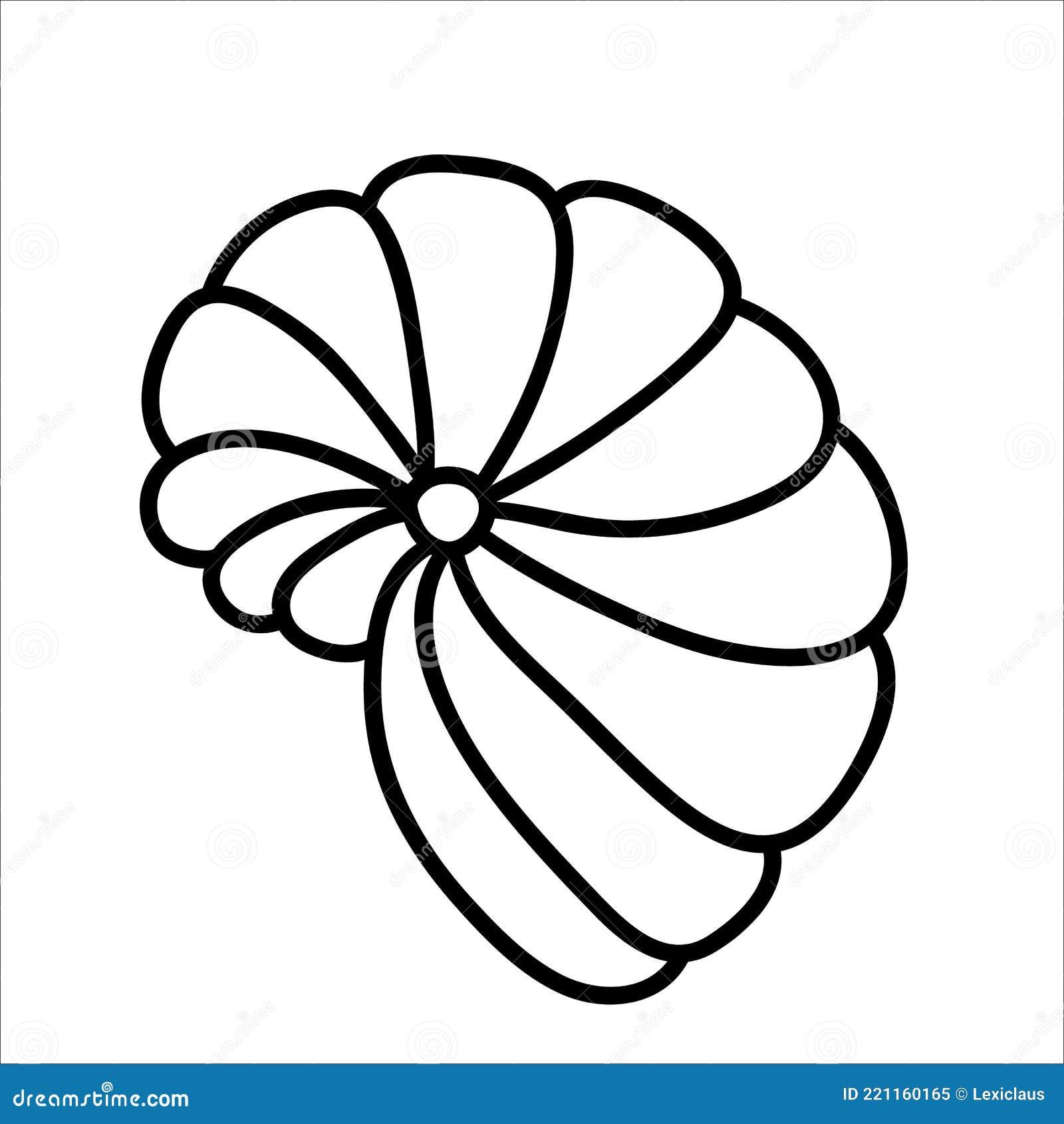 Seashell black white drawing stock illustrations â seashell black white drawing stock illustrations vectors clipart