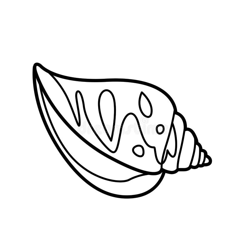 Cone shell stock illustrations â cone shell stock illustrations vectors clipart