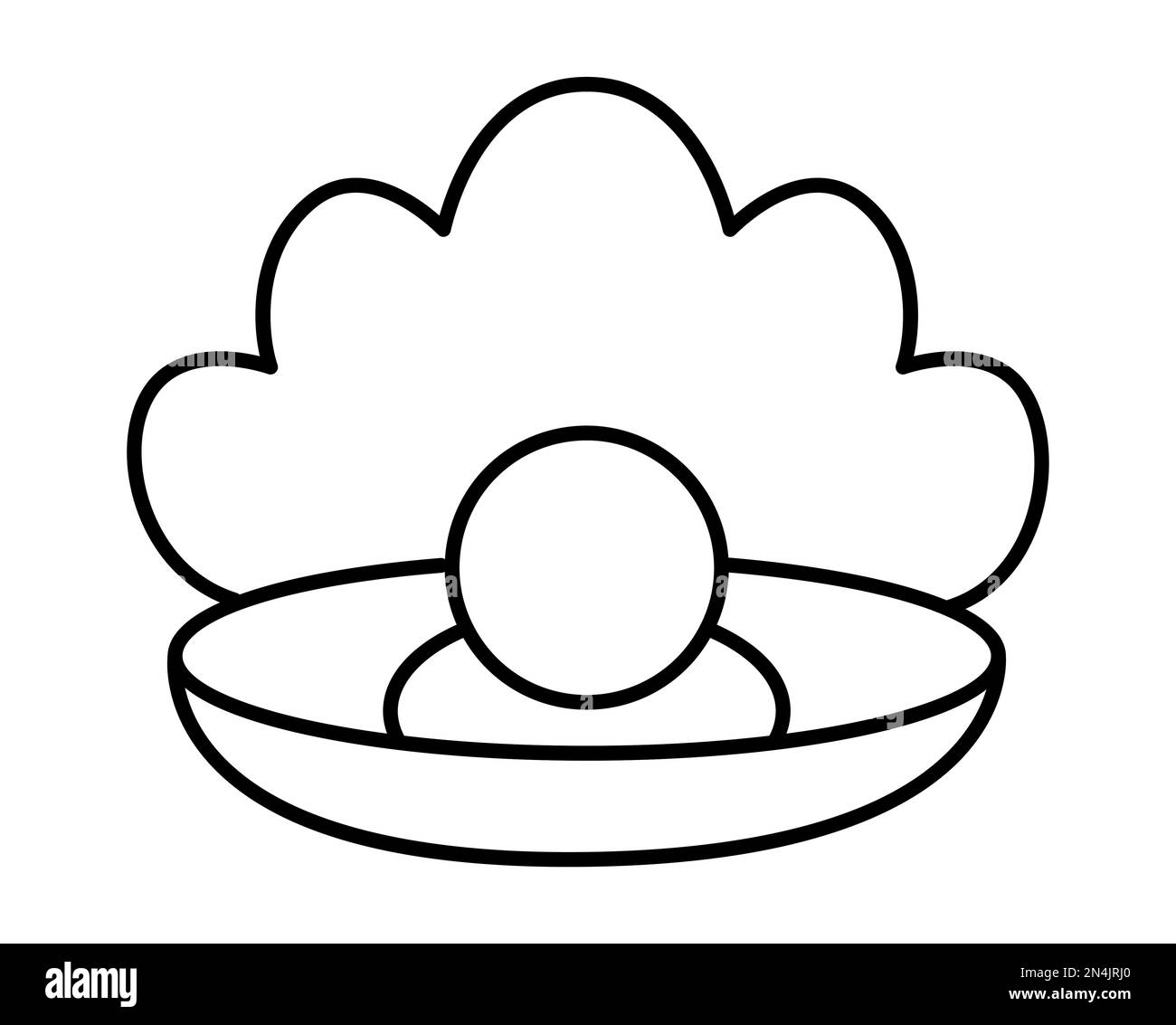 Seashell line art coloring book black and white stock photos images