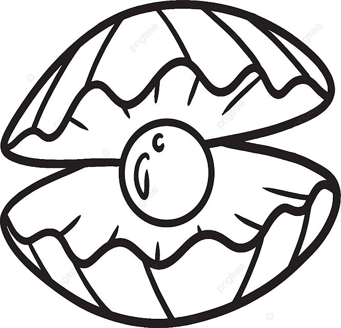 Isolated coloring page for kids pearl in a seashell vector toddler kids coloring book png and vector with transparent background for free download
