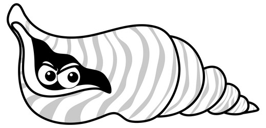 Seashells black and white clipart vector images over