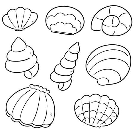 Sea shell coloring page cliparts stock vector and royalty free sea shell coloring page illustrations