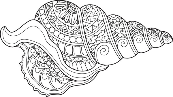 Thousand coloring book shells royalty