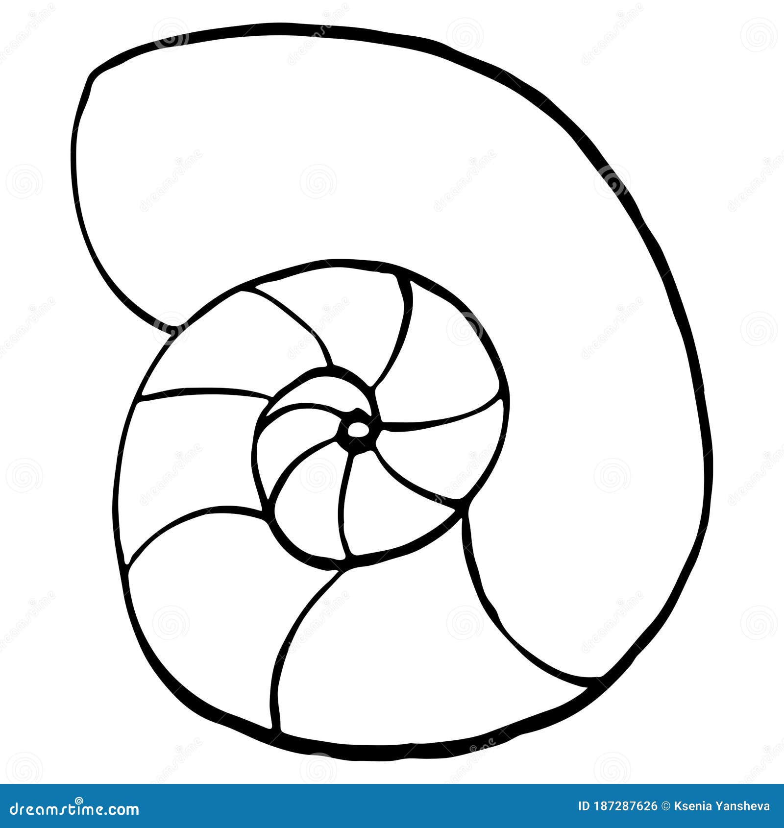 Cute seashell spiral coloring page digital doodle outline art stock illustration