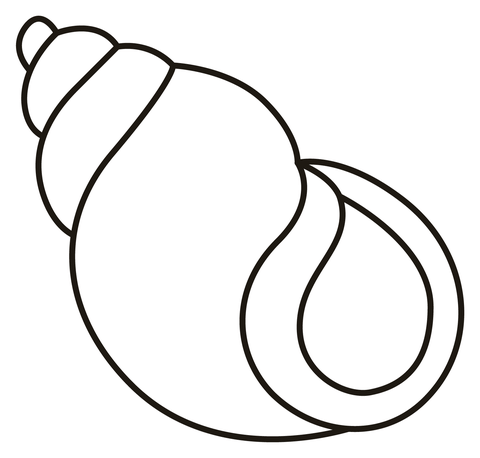 Spiral shell coloring page free printable coloring pages