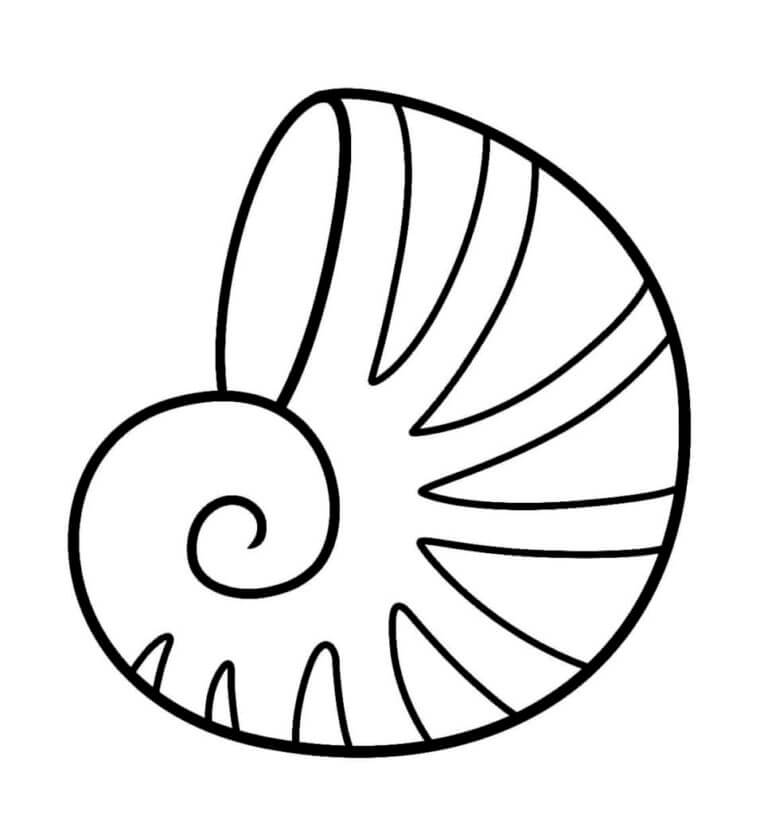 Striped seashell coloring page