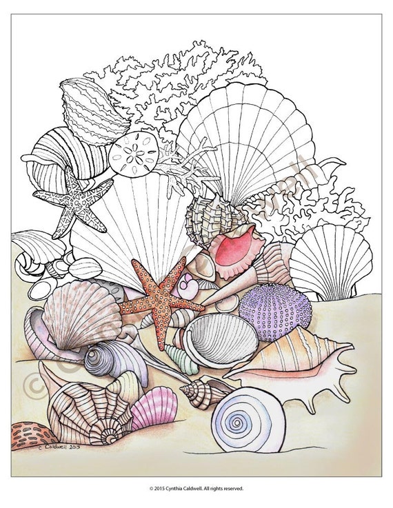 Seashells coloring page instant download