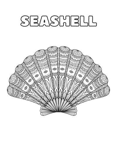 Seashell coloring page for all ages by contentcaptain tpt