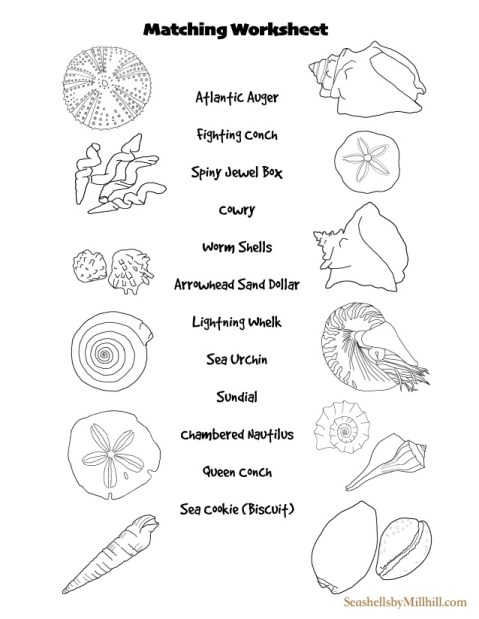 Coloring pages