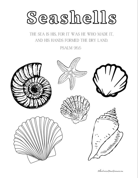Seashellbible verse coloring printable