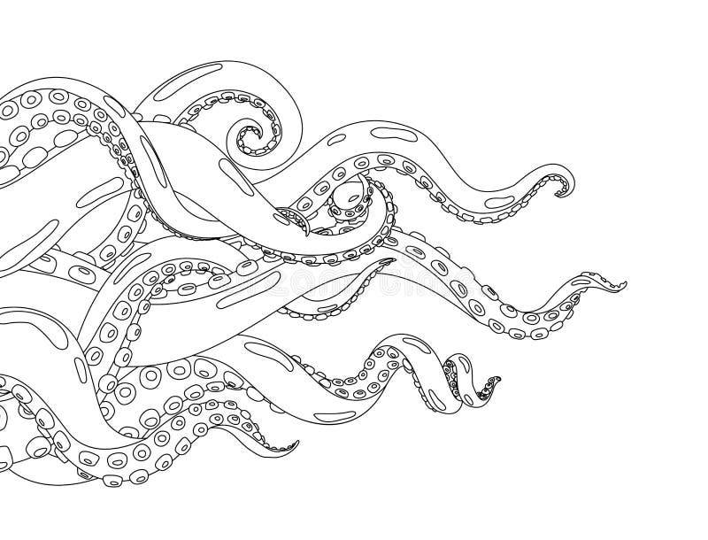 Kraken stock illustrations â kraken stock illustrations vectors clipart