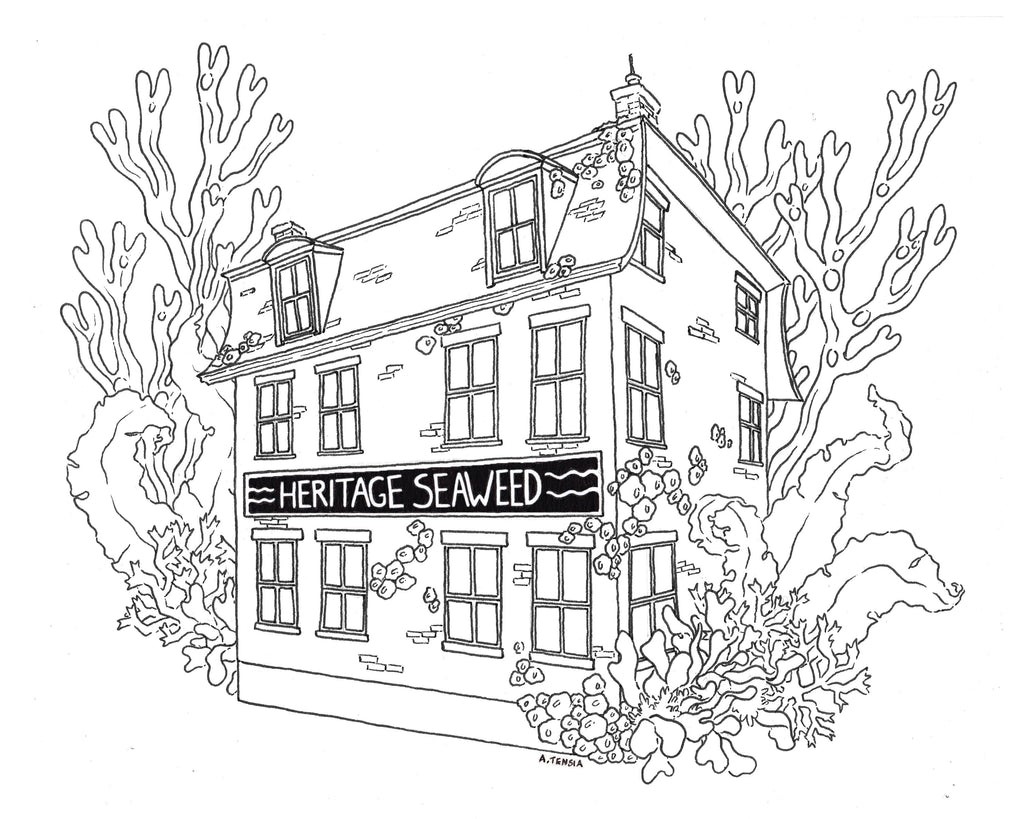 Kids printable coloring page â heritage seaweed
