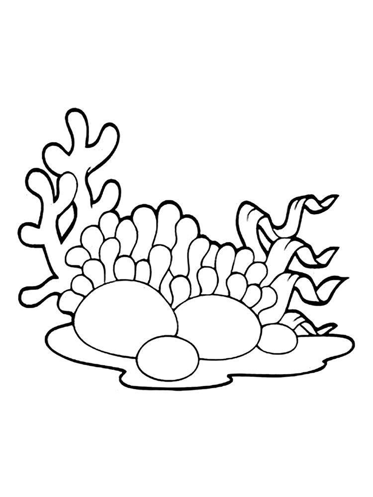 Seaweed coloring pages