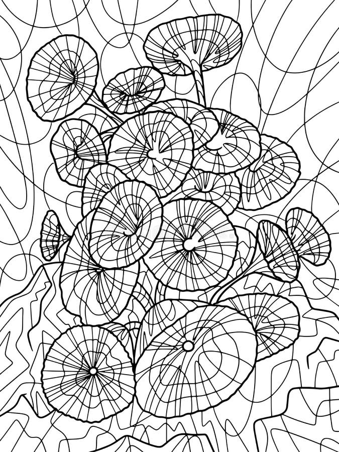Padina pavonica seaweed freehand sketch for adult antistress coloring page with doodle and zentangle elements stock illustration