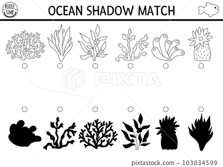 Under the sea black and white shadow matching